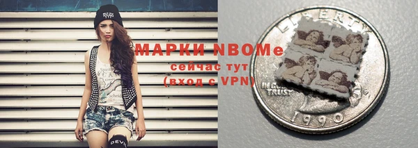 apvp Каменка
