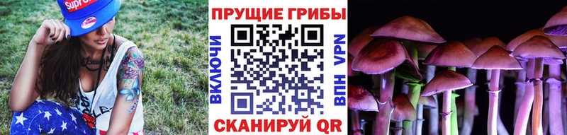 Галлюциногенные грибы Psilocybe  MEGA маркетплейс  Бокситогорск 
